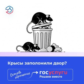 ������� ���� � �������, � �������� ��� � �������?