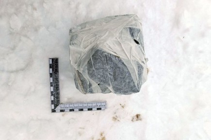 � �� ��� ������ �������������� ��������� ���������� � ���, ��� ������������ ���������������� ���� ������ �� �������������� ������ ���������� ���� �� ���������� �-176 ������ ��� ���������� ���������� NISSAN ��� �����������...