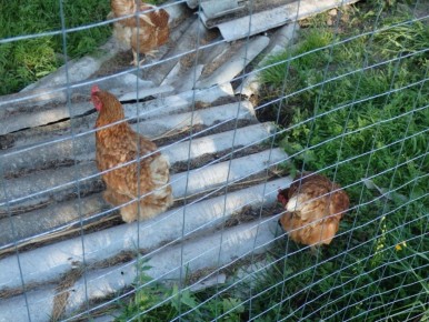 ����� �� ����: 9 ������������ �������� ��� �������������