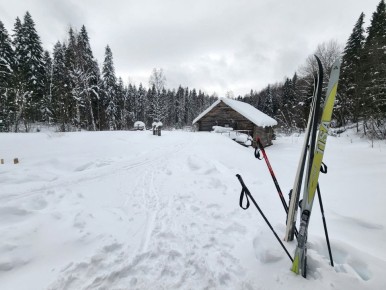 ������ ��������. ���������� ����� �������