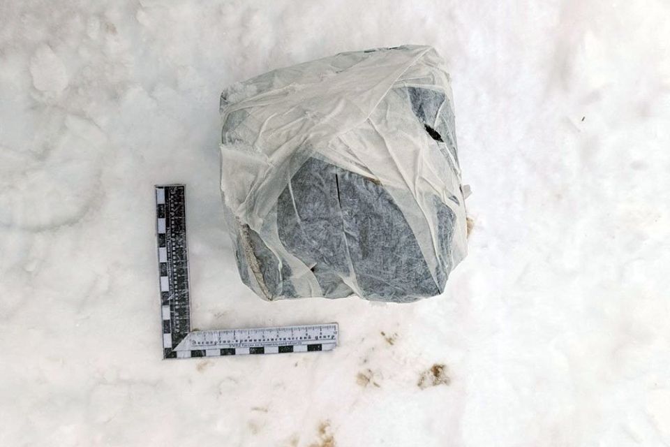 ���������� ������� �������������� ������ ������ �� ����������� ������� ����� ���������� ������������� �������