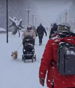 �� ���������� ��������� ���� ����� � ���� 7 ����� � ������������ ��������� ������� ����, ������, �������� ���������� � ������-���������� �����