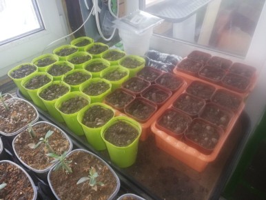 ��� ��������� ����� ��������: �������� ������ ��� ����������