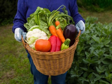 ��� ������� ���������� �������� ������ ������: ������� ������