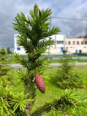 ����� ��������������� ������� � 2025 ����: �������� ����� 1000 �������� � �����������