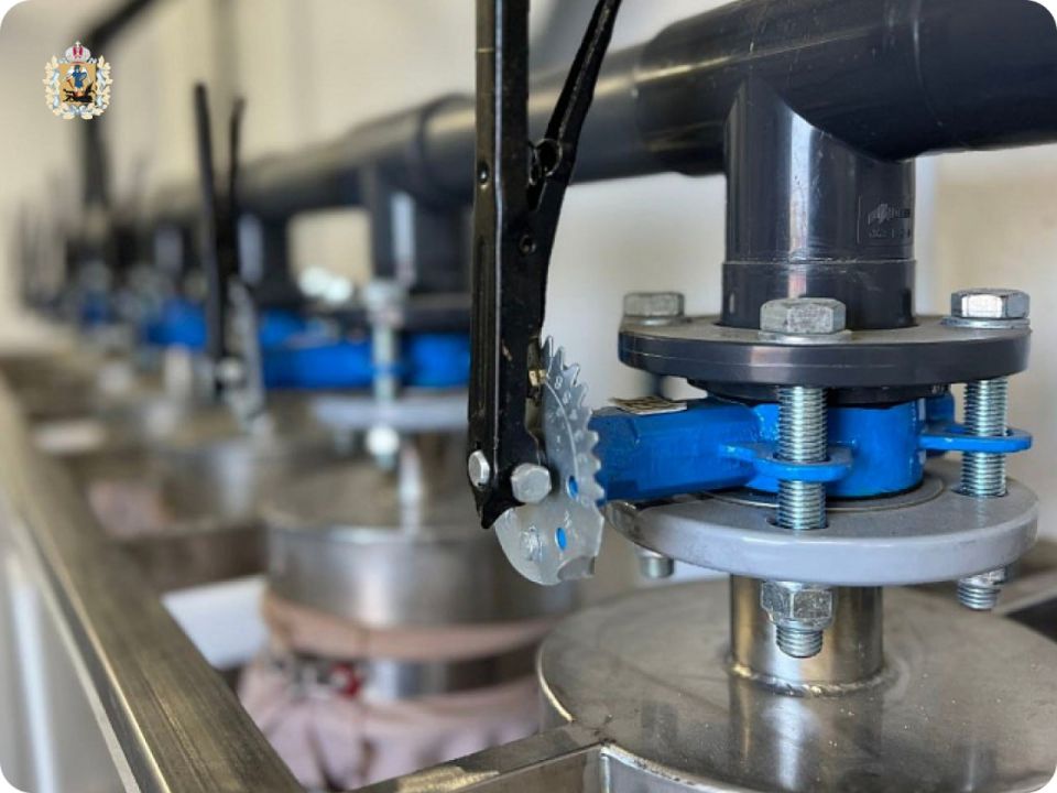 � ���� �������� �������� ������ ���������� ������������� ������� ������������ ����������