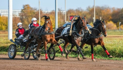 ������ ������������ �������������� ��������� �������� ������ ����� ���������� �����