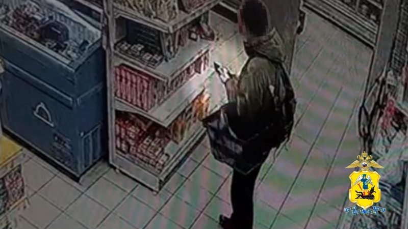 Северодвинские полицейские раскрыли кражу мобильного телефона