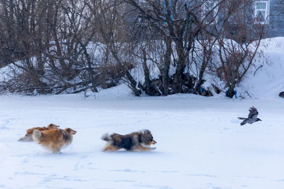 ��������?. ��������� ������ ������� � ����, ���� �������� ������ � �����������