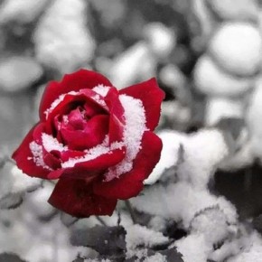 ������������� ����: ��� ������� ������ ����� ��� ������ ����