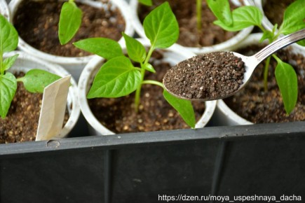 ����� � ��� ������������� �������: ������ ��� ��������� �����