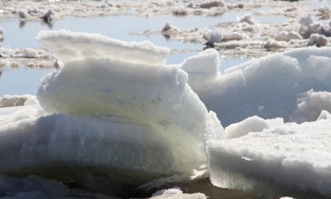 ����� � ���� ���� ���������