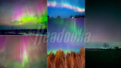 Жители севера европейской части России и Западной Сибири могут увидеть северное сияние этой ночью