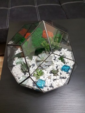 ��� ��������� ������������ ����������: ����������, ������ � ��������