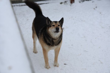 �� �������� ������ ���� ������!