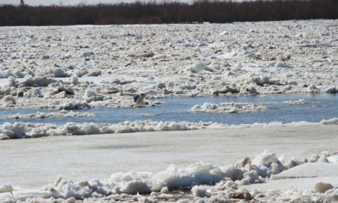 Ледовая обстановка на реках Архангельской области на 27 марта