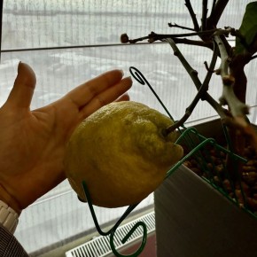 ����� �������� � ������!. ����� ������������ ������ ������ � ����� �� ������ ������������