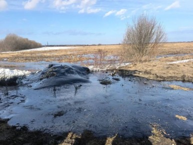 Природоохранная прокуратура начала проверку по факту разлива нефтепродуктов в Повракуле