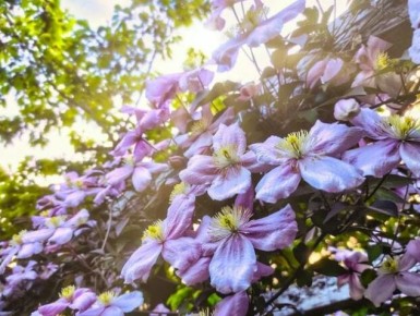 ������� ���������: ��� ������� ��������� �������� ��� ������ ����