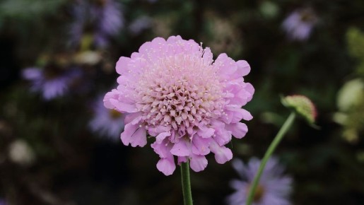 ��������: ���������� ������� � �������� �������