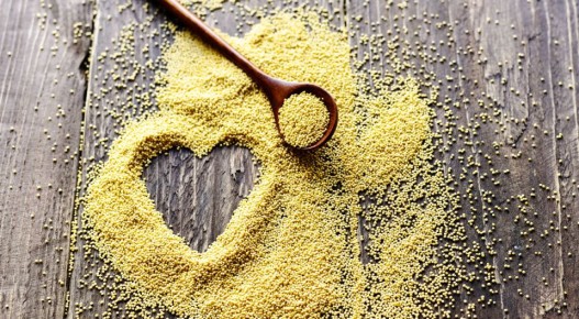 ����� ��������: ��� ���������� �������� � ���������� ������