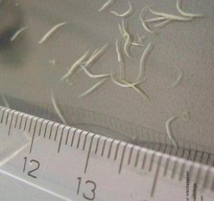 ������ � �����: ���� � �����