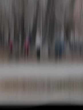 ����������� ��������� (�����):