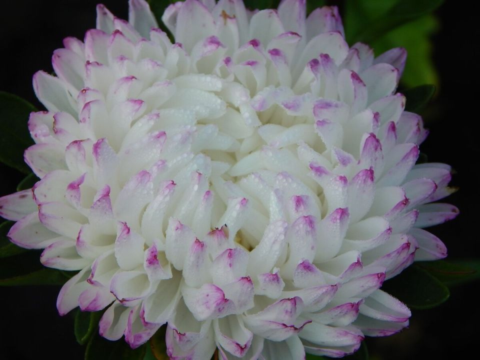 ����������� ����� ����� ��������, ���������� � ���������