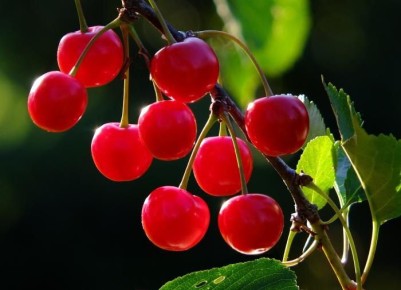 ��� �������� ������� ������ �����: �������� ������������