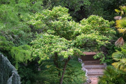 ��������, ��������� � ����� ������� ����: ������������ ������� � ����������