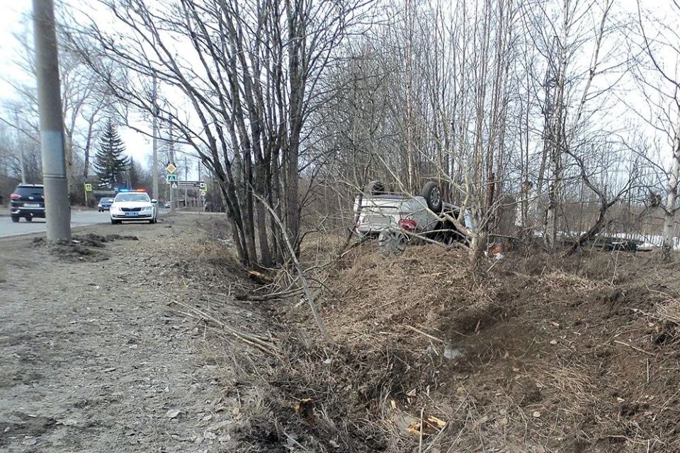 � ������������ ��������� �������� �� ����� ������ � ����� � �����������: ���������� �� ��� � ����������