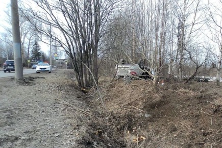 � ������������ ��������� �������� �� ����� ������ � ����� � �����������: ���������� �� ��� � ����������