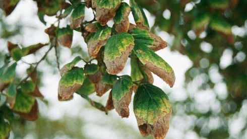 ���� � ����: ������� ������ ��� ������ �������