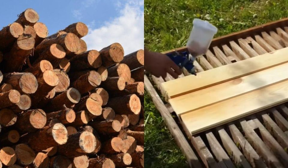 ��� �������� ����� �� �������: ����������� ������ ���������