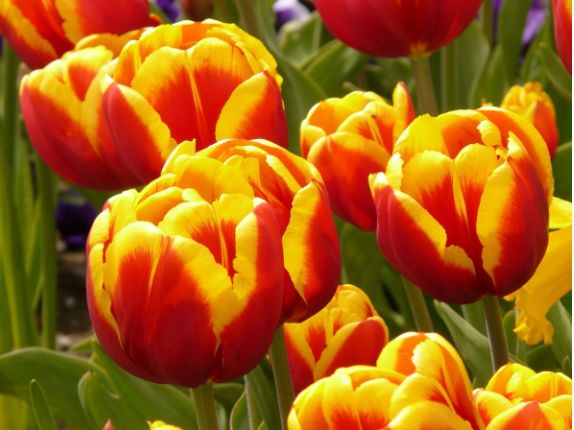 ��������: ������� ������� ����� ��� ������ ��������