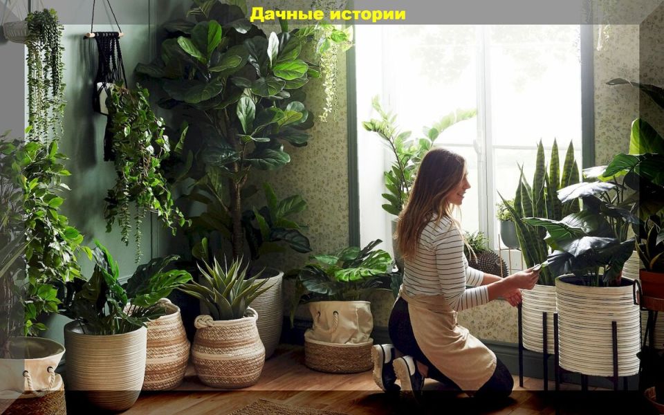 �����: ����� ��� ������ � ��������� ���������