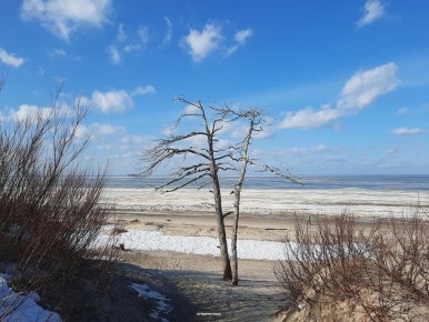 � �� ������ �� ����� ������ ������?