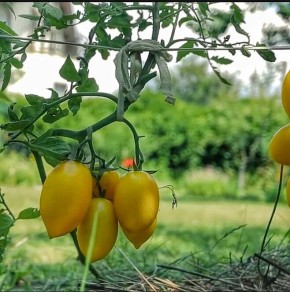 ������������ ��� ������ ����