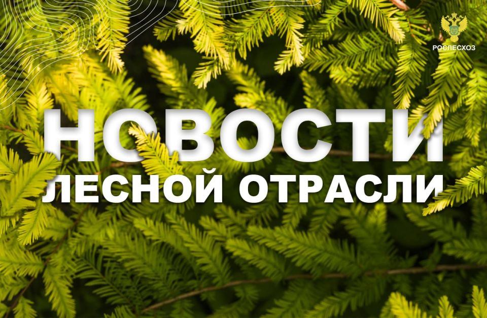 Интерфакс: Десантники-пожарные из Приамурья помогут тушить лес в ЕАО