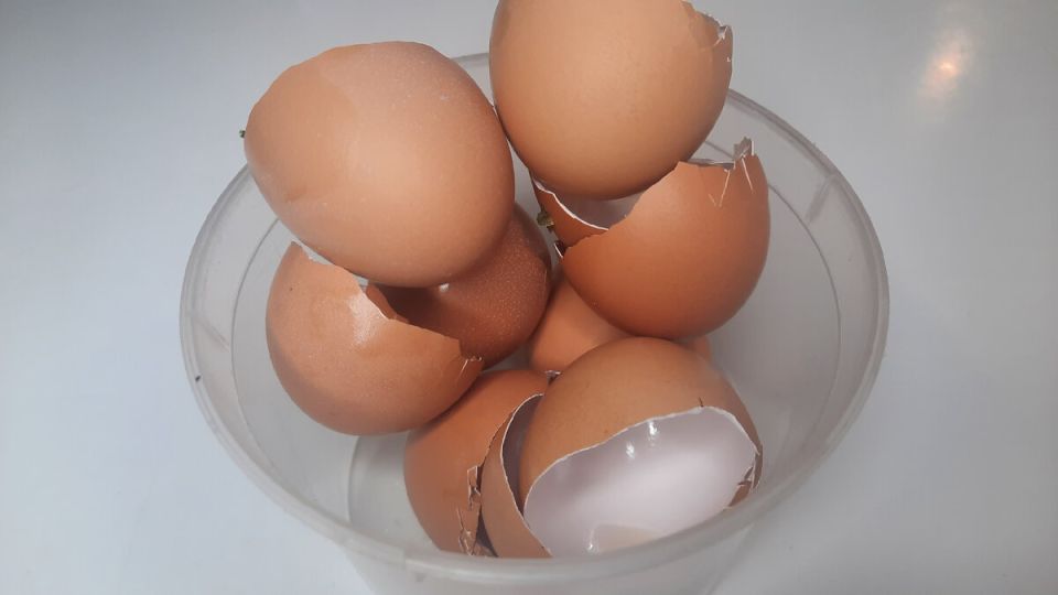 ��� �������� ��� ����� ������ �������� ������� � ������ � �������