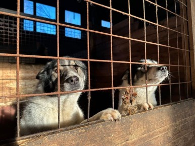 �������������� ������� ������ ���� � ����� ��� ��������