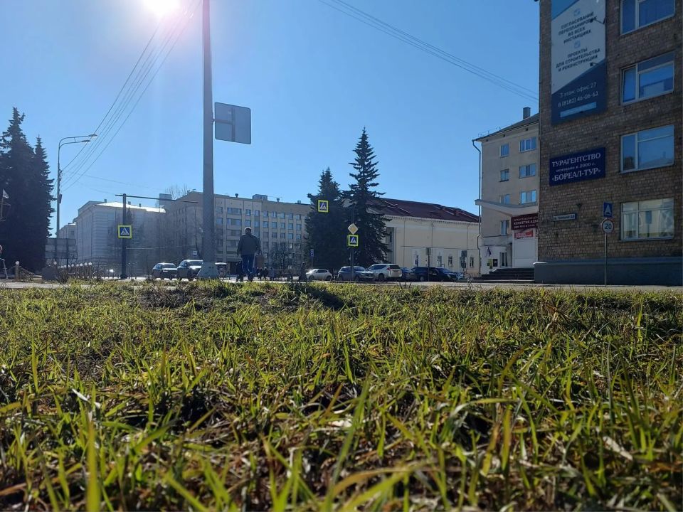 Весеннее солнце рассыпало золото по изумруду первых трав