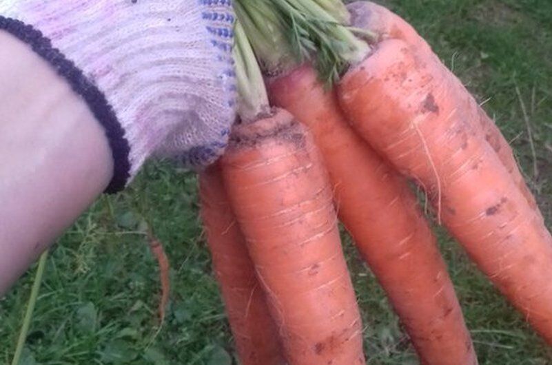 ����� ������� �������: �������� �������� ��������