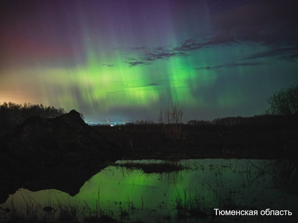 �������� ������ � ������ ������� ������: ���� ��������� �� ����������, ��������� �������, �������, ������������ � ����