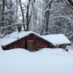 ��� ����������� ���� � ����: ������ ����� ������� �����