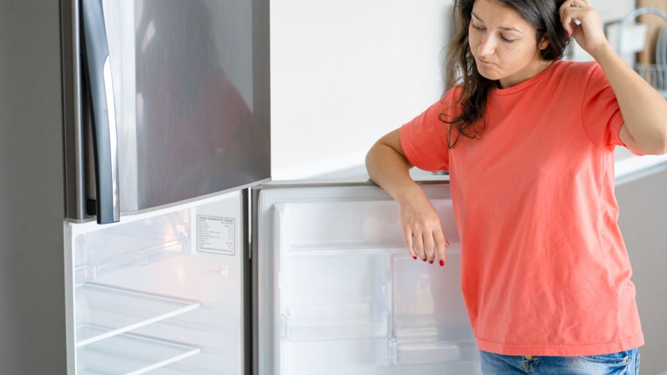 Как правильно подготовить холодильник к новогодним запасам?
