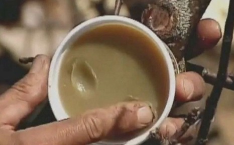 ��� ������ ������� ��������� ������� ���, ������� ������ �������