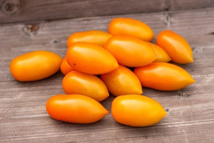 Томат Сказочное золото: как получать солнечный урожай с насыщенным вкусом