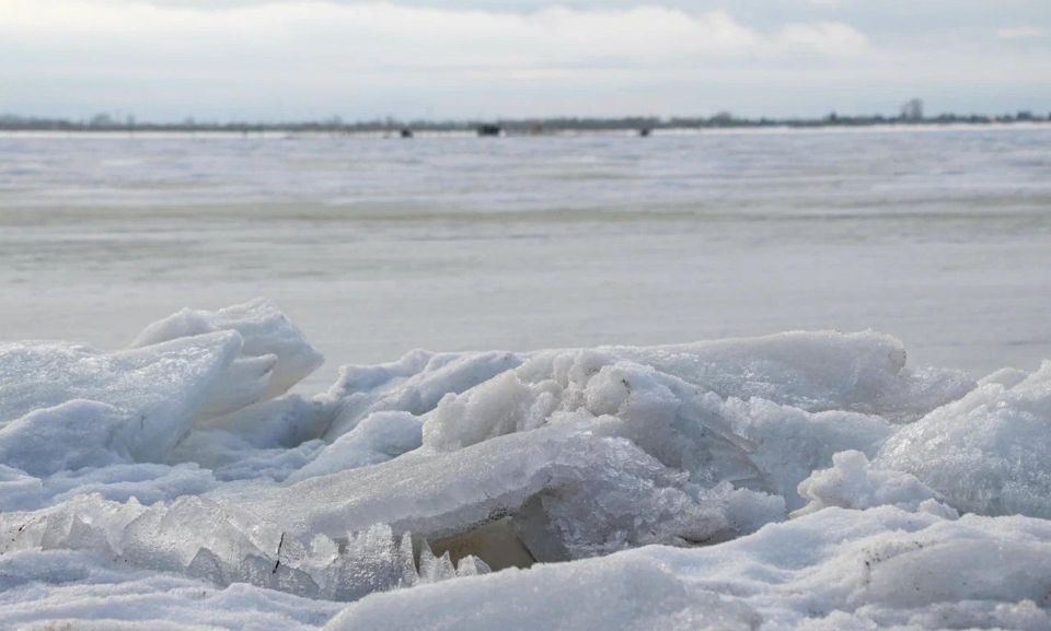 Какие новости «Региона 29» привлекли внимание читателей на уходящей неделе? Вот топ новостей: