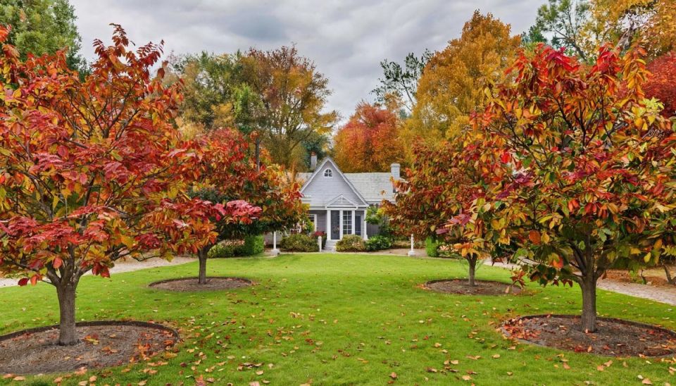 ��� ������� ��������� ������� �������� ������ ����